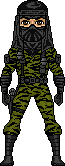 Nunchuk from NINJA FORCE