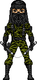 Nunchuk from NINJA FORCE