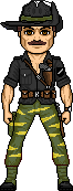 Tiger Fly Pilot